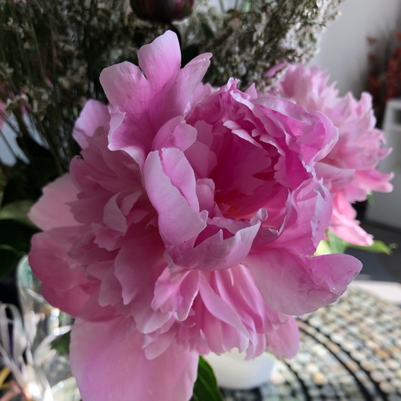 Currently only buying, not selling - Picture 3 of 3